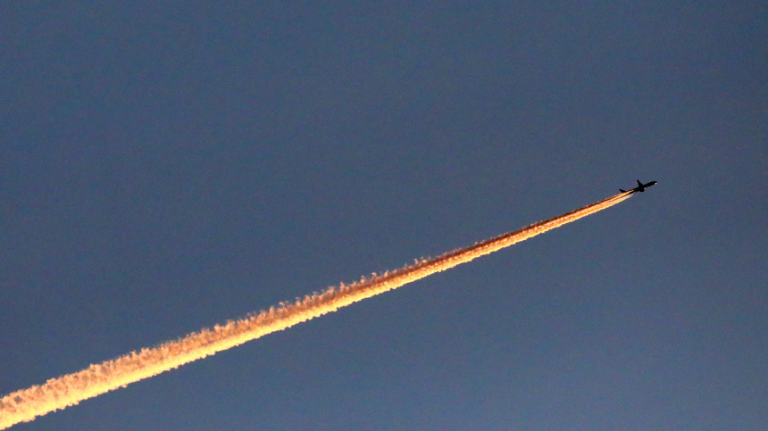    Фото: © РИА Новости/Илья Наймушин