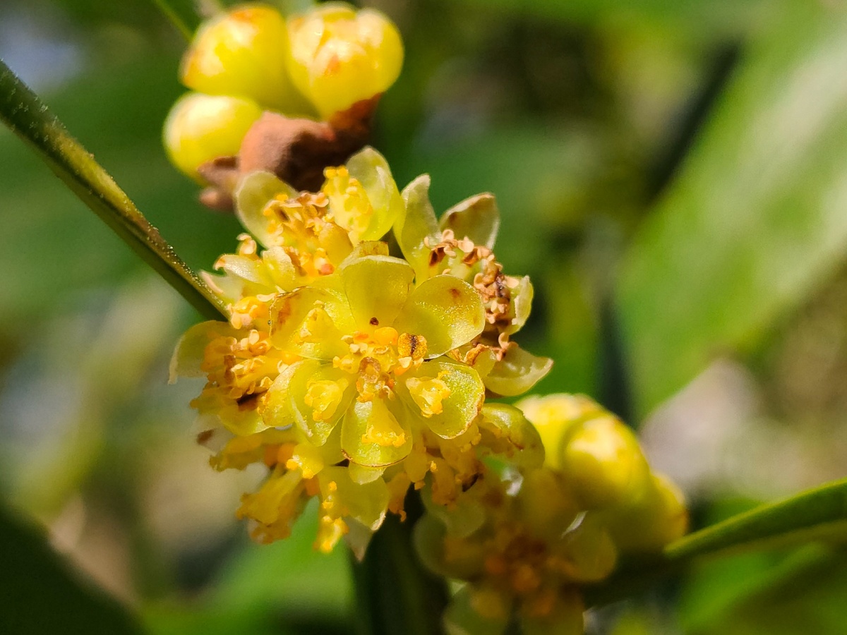 фото: vk.com/Галина Солтани  📷

