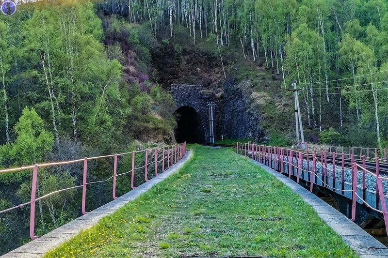 -58