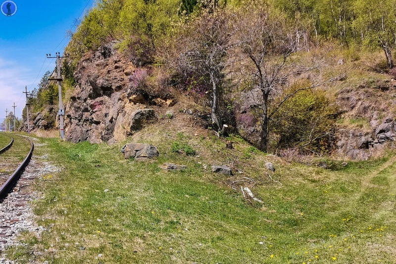 -80