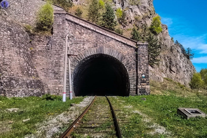 -41