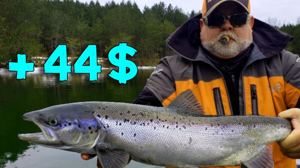 Почему в Норвегии рыбакам платят за пойманную рыбу