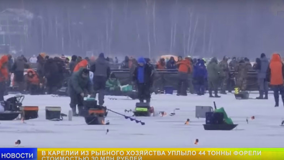 Садки и рыболовы прямо около них. Карелия