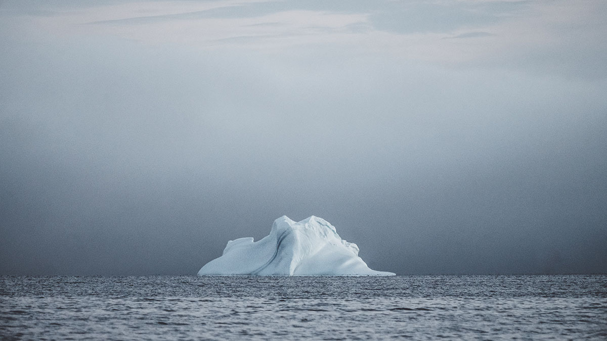    Фото: vm.ru Георгий