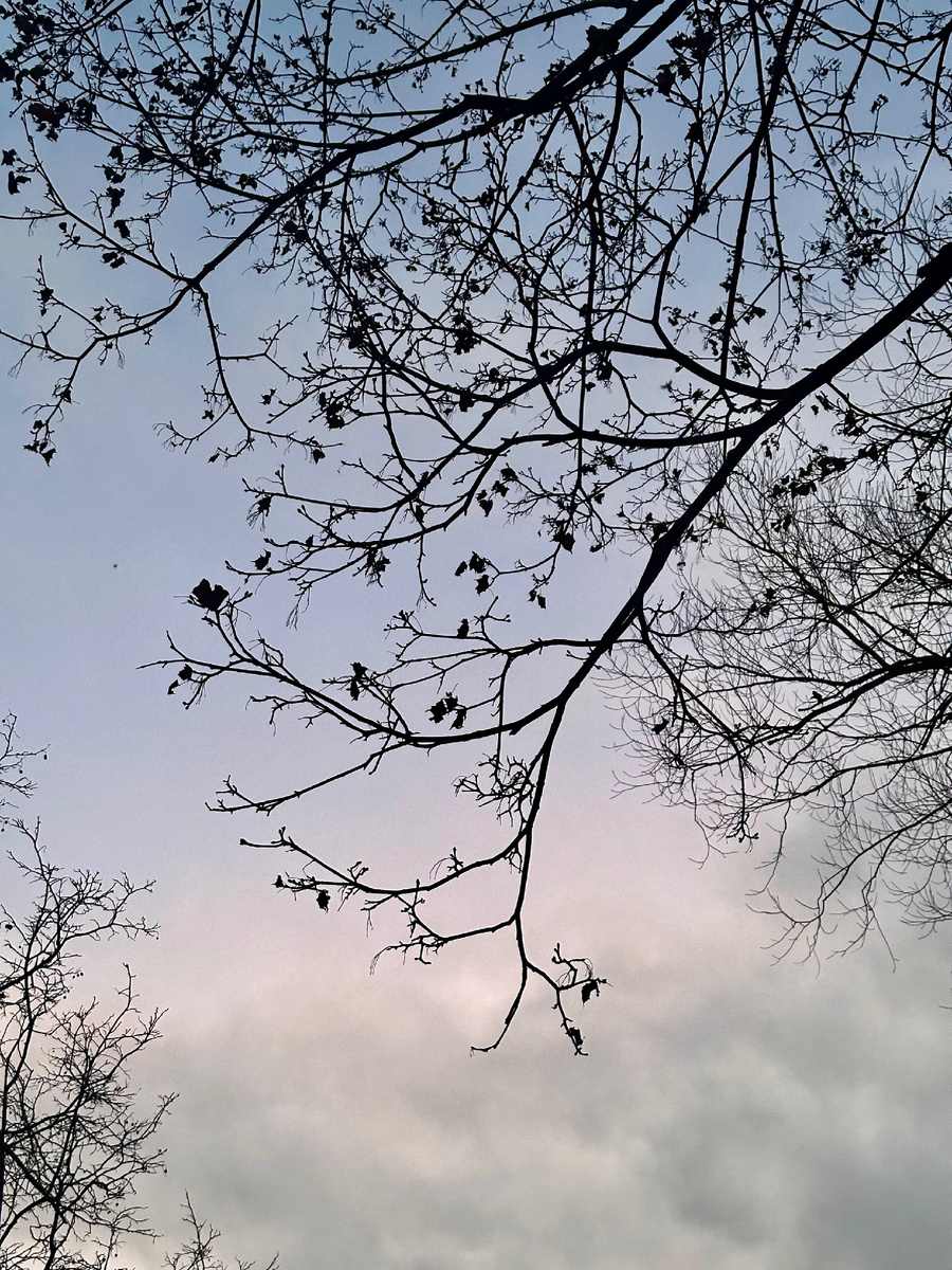 По дороге на работу