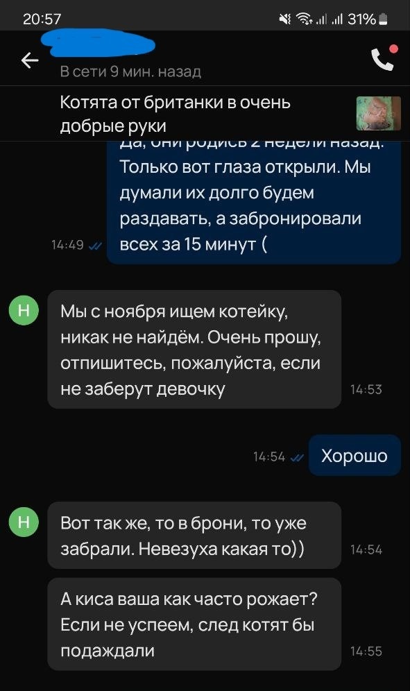 Скриншот автора. Орфография сохранены.