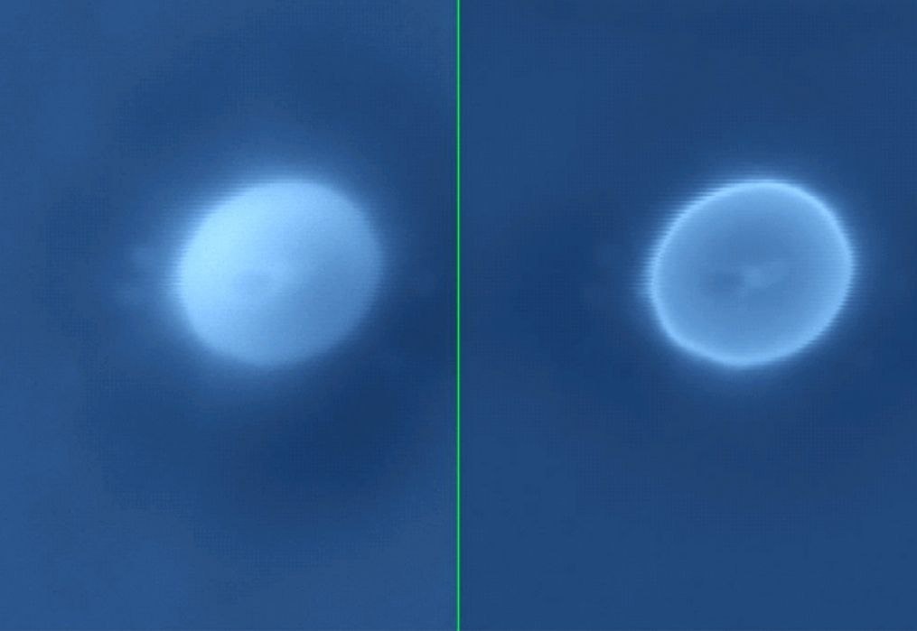    Вот так выглядят наноконтейнеры