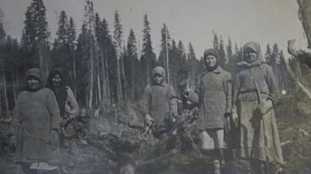 Фото из интернета