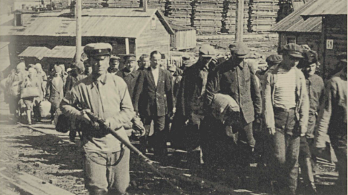 Фото из интернета