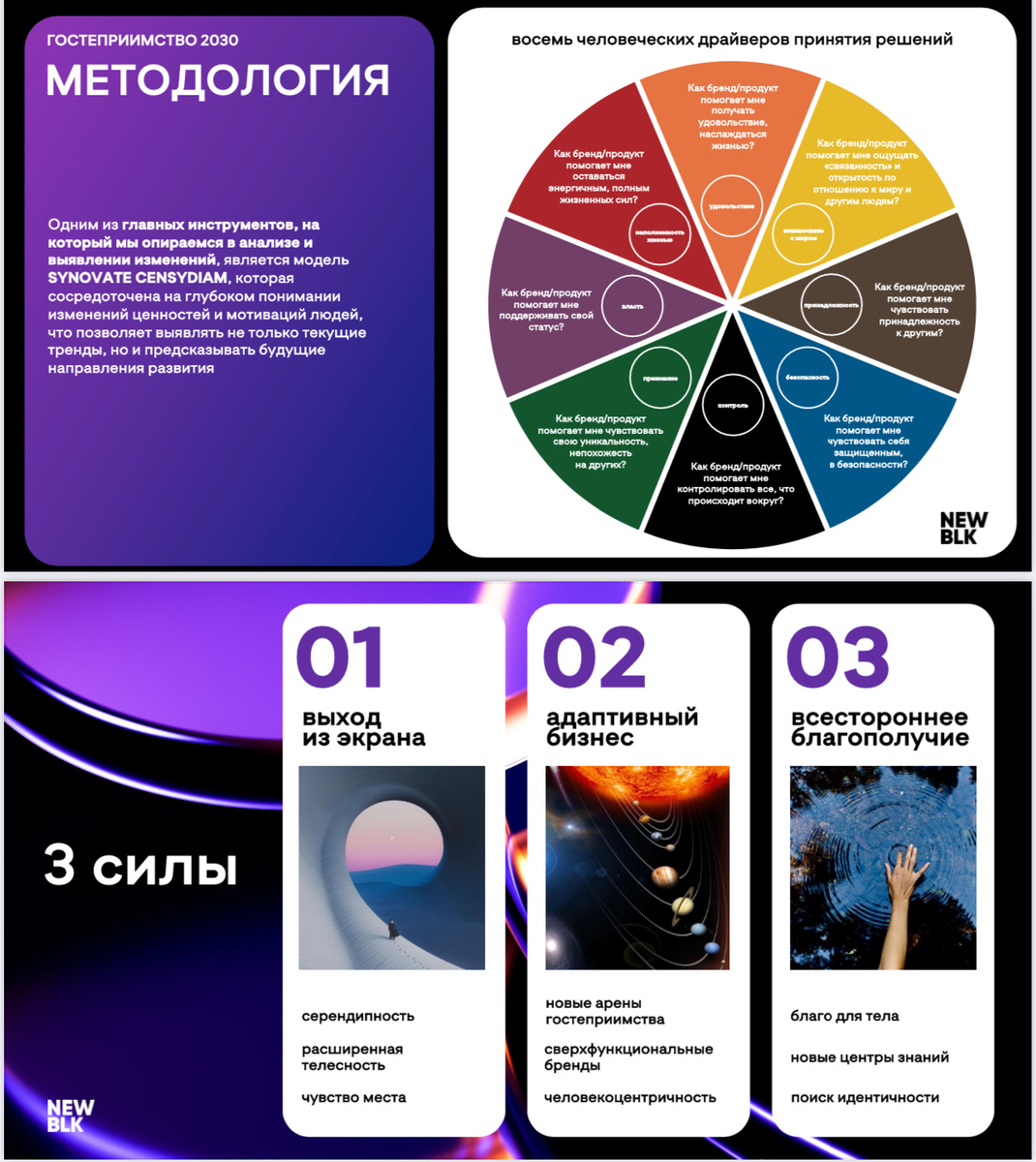 фрагмент из отчета маркетингового агентства NEWBLACK