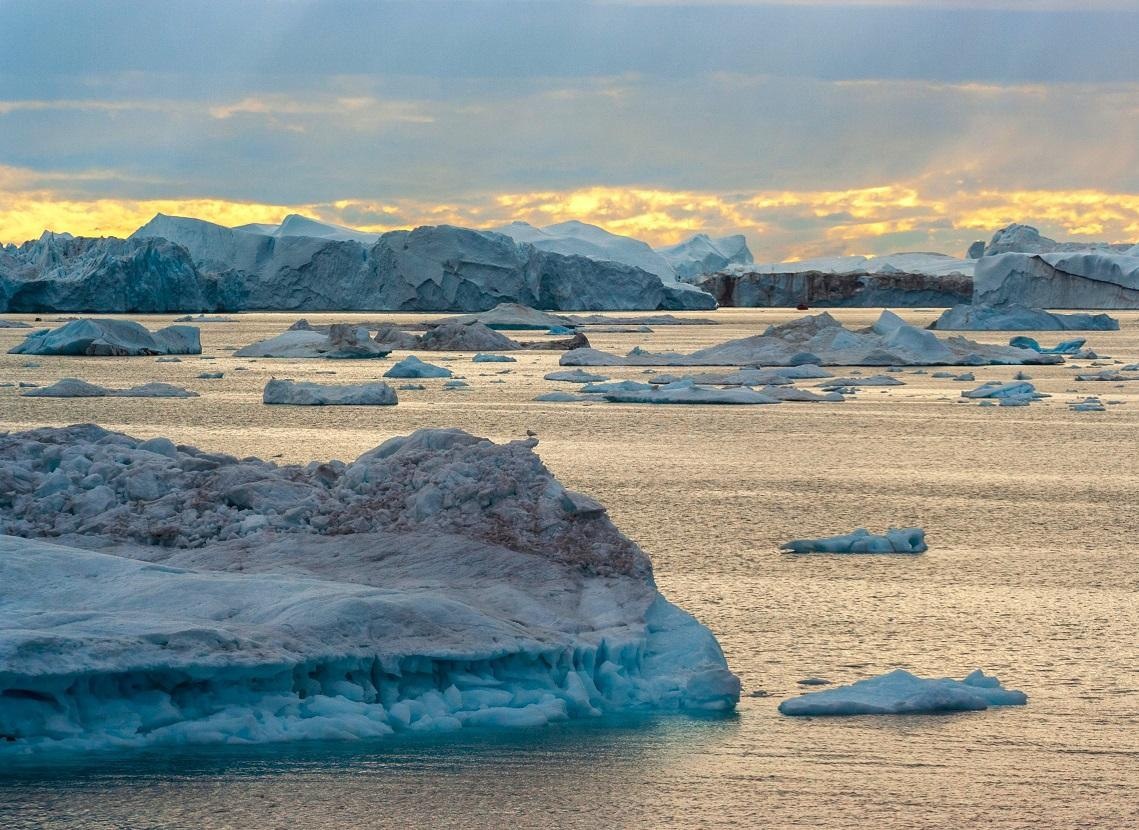 Фото: Кантор Вадим