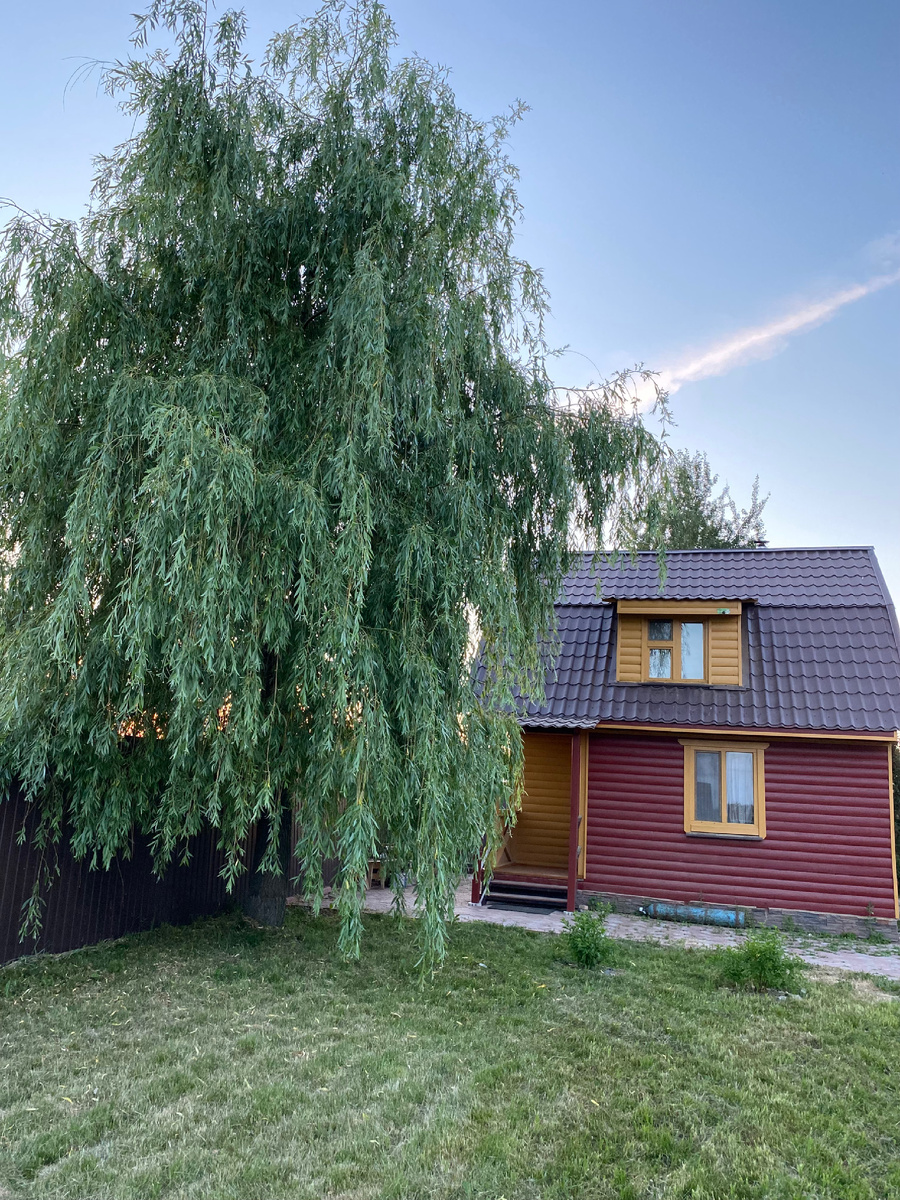 Эта же лужайка около бани летом 2022 года. Вид от бани.