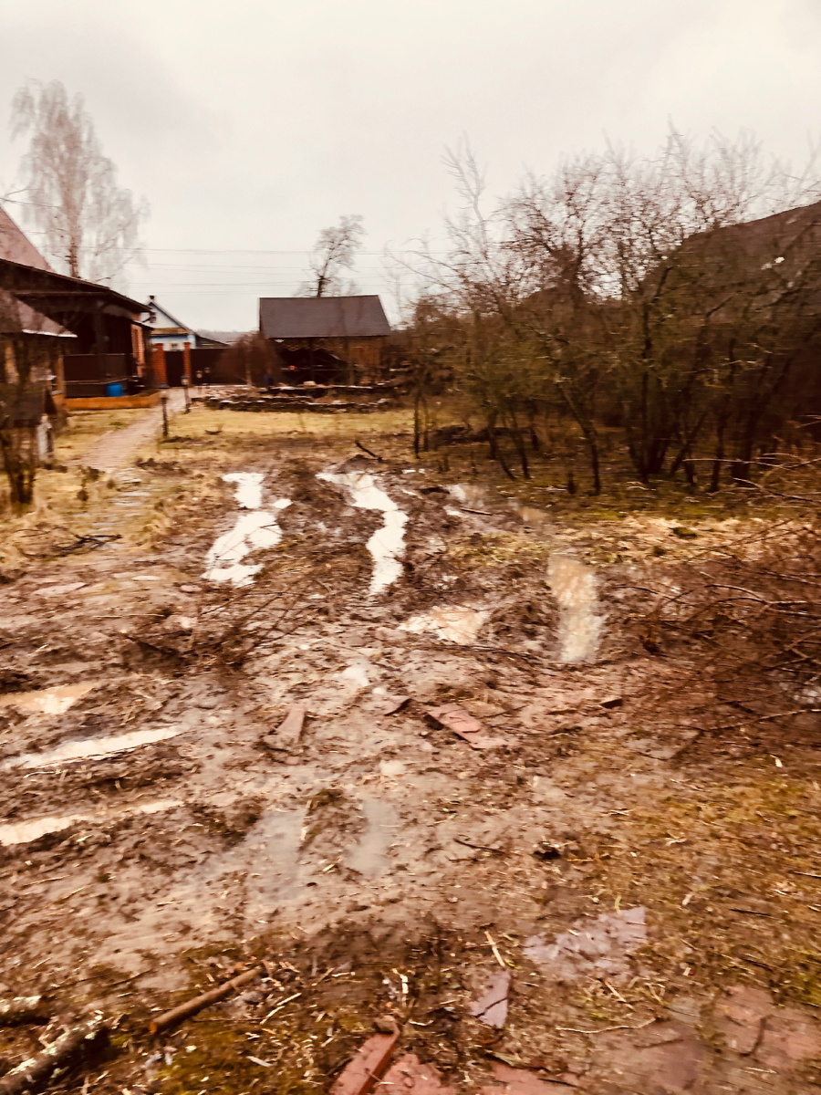 Это заросшая терном лужайка в апреле 2019 года между баней и водопадом из камней. Лужайка между баней и альпийской горки.Вид от бани в сторону горки.Везде фото автора.