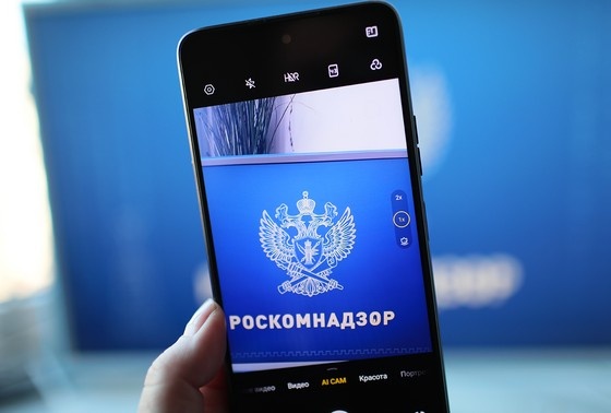    Александра Погиба/NEWS.ru