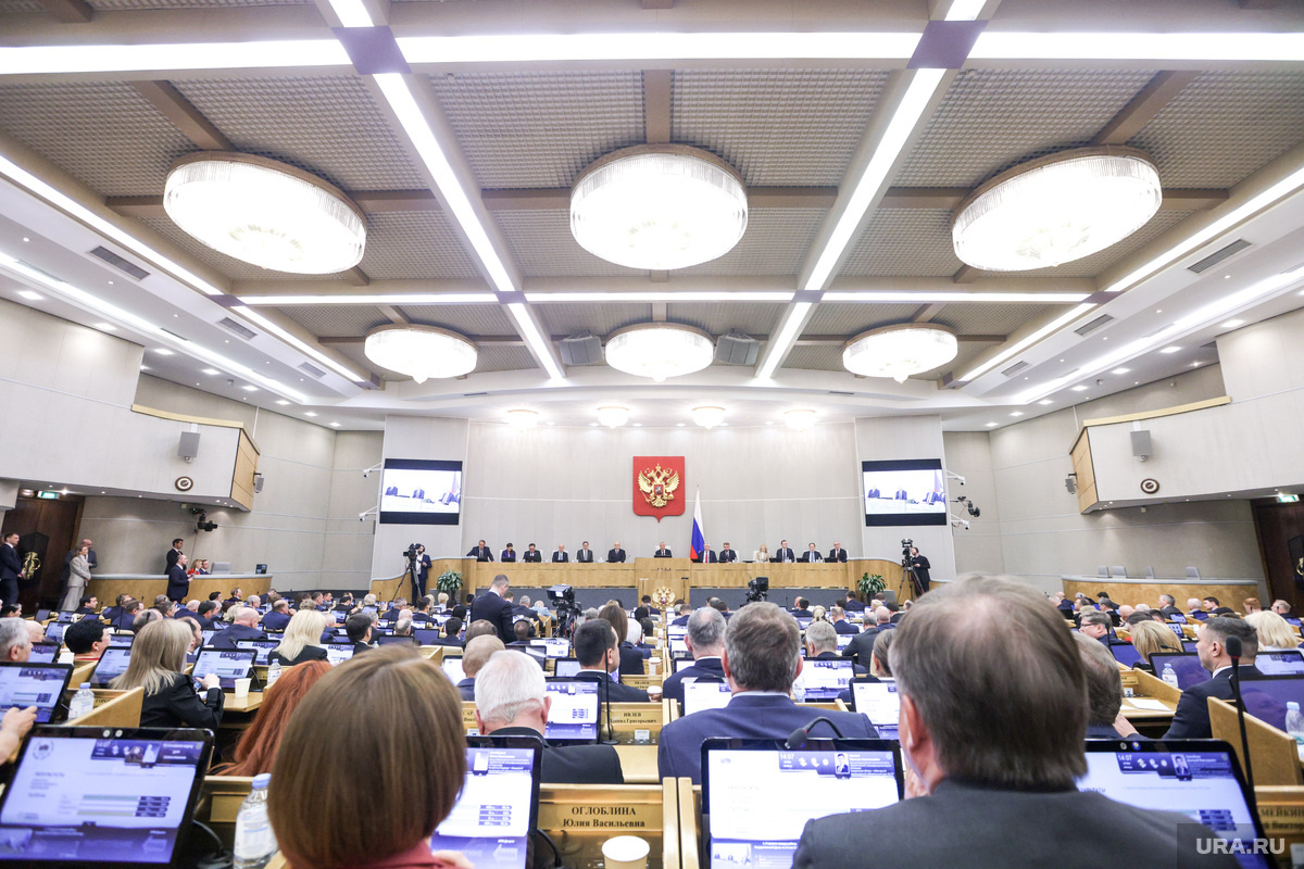 Госдума в I чтении приняла законопроект. Фото: Владимир Андреев © URA.RU