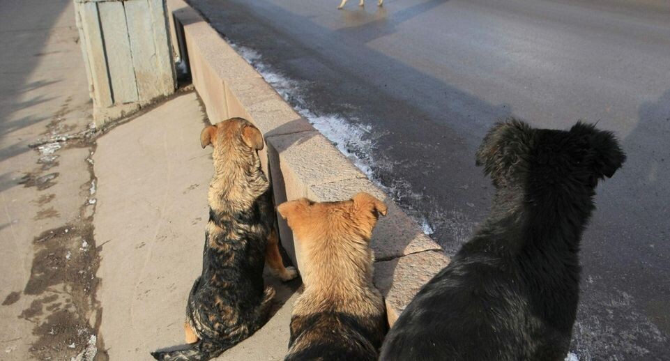    РИА «Новости»