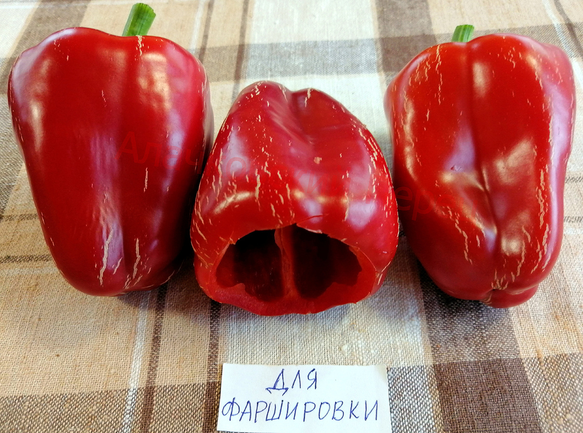 Нет, это не Sheepnose Pimento (Нос овечки), это "новый сорт" - "Для фаршировки"))