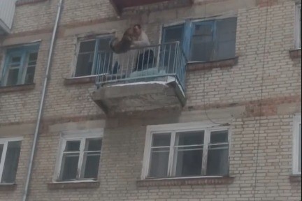 Фото: скриншот видео "Новосибирск с огоньком"