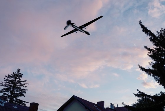    Shutterstock/FOTODOM