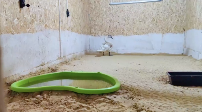    оперативный штаб Краснодарского края