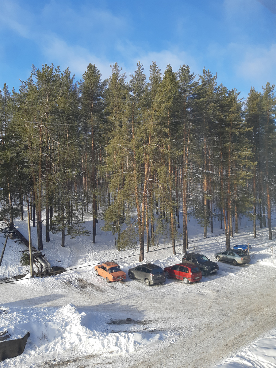 Сегодня погода такая.Дело - к весне.