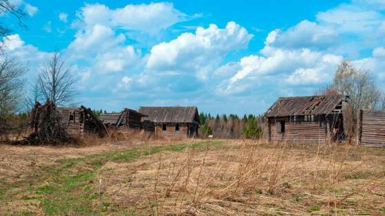    В Госдуме объяснили, какие участки будут считаться заброшенными и могут быть изъяты у владельца Ирина Петрова