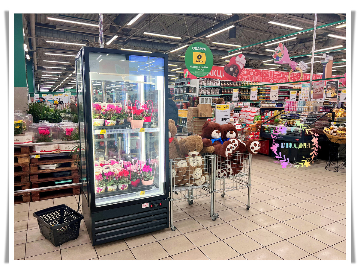 Холодильник на входе практически. Я обомлела )))