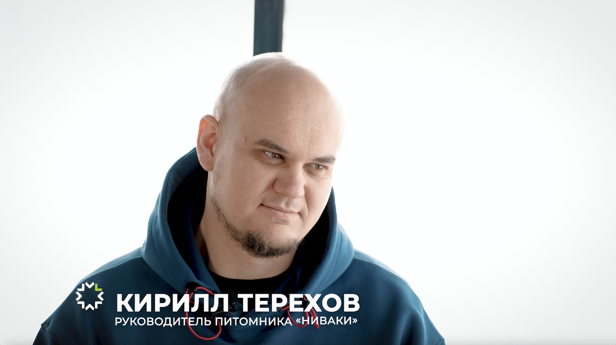 Отрывок из видео-интервью