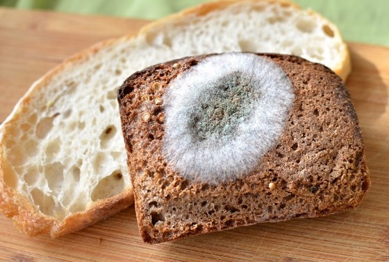    Shutterstock/FOTODOM