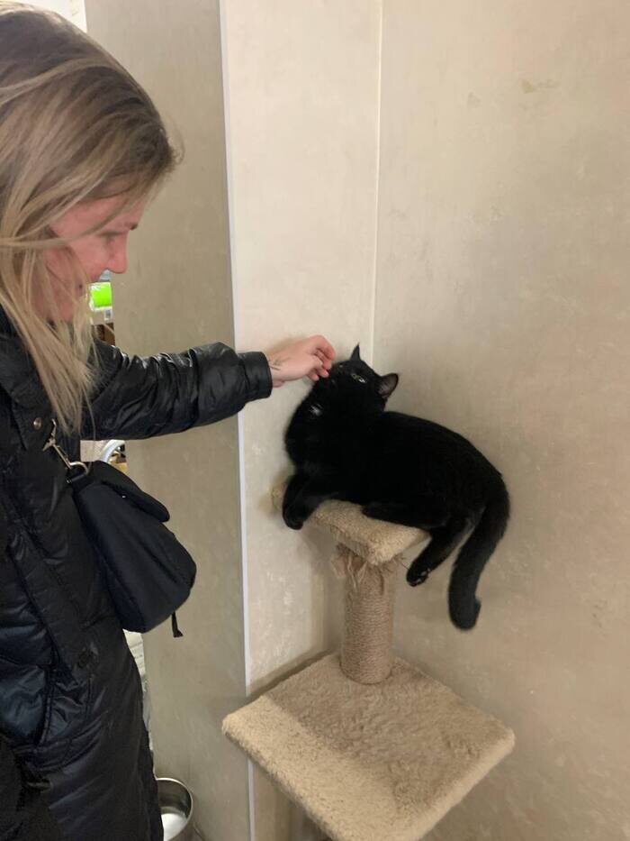 Листайте вправо, чтобы увидеть больше изображений