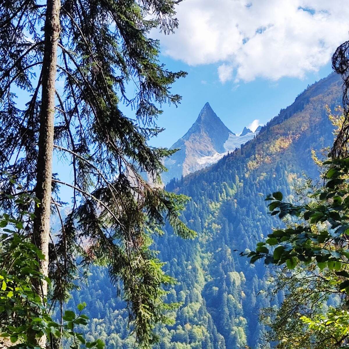 Домбай. Фото автора