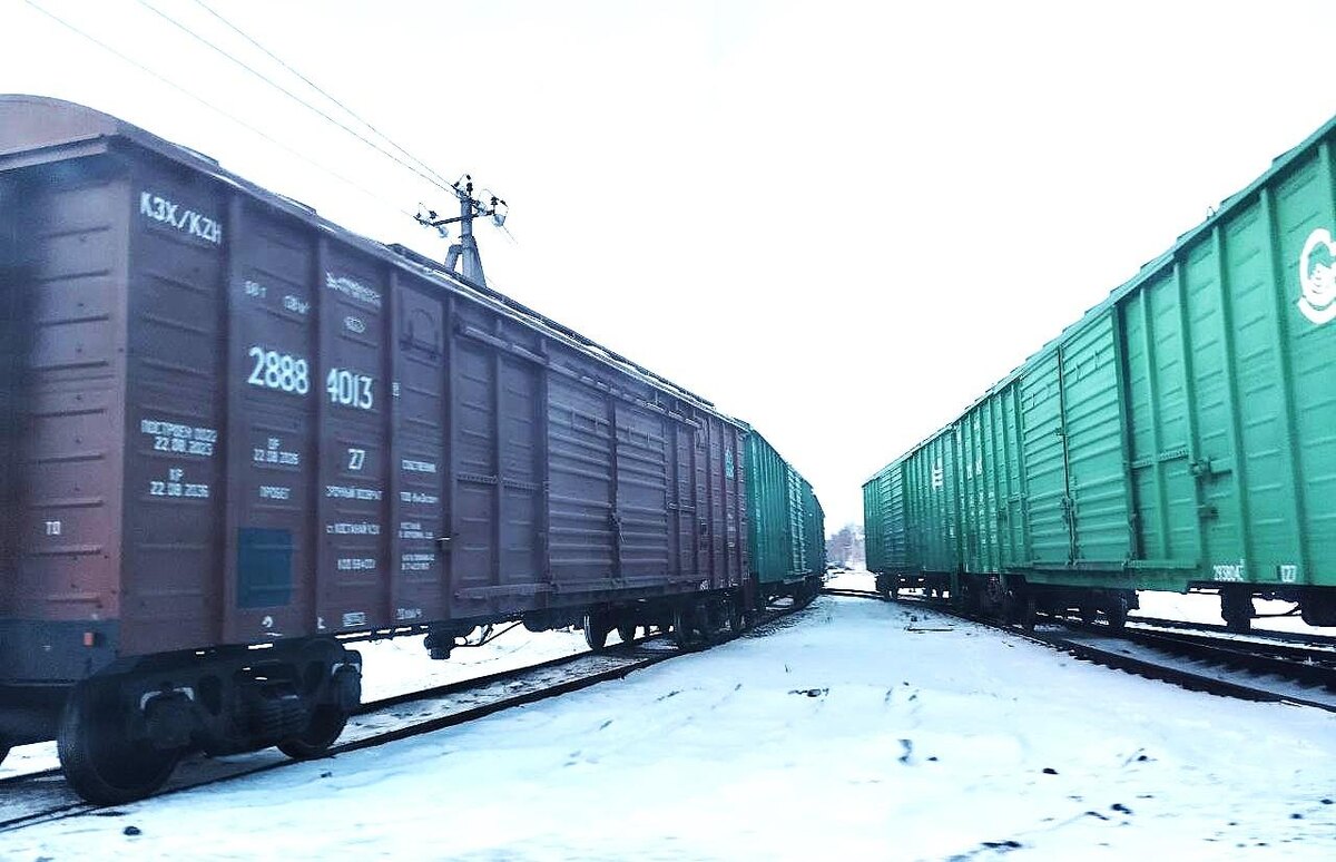 Фото: АПК Новости