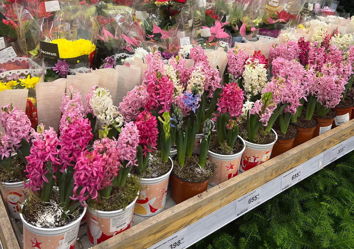 Фото сделала в магазине в декабре