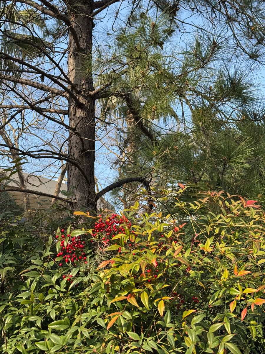 Февральский Сочи 