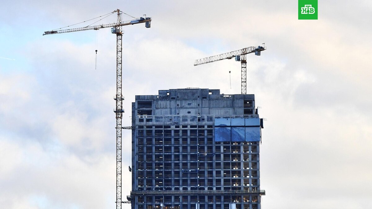    Фото: РИА Новости © 2025, Наталья Селиверстова