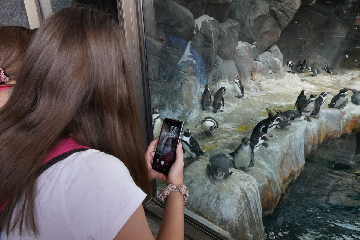     / Источник: © ИЗВЕСТИЯ/Дмитрий Коротаев