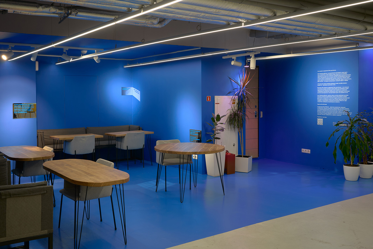    Тотальная инсталляция «Не слишком ли уединенно? Нет, достаточно»