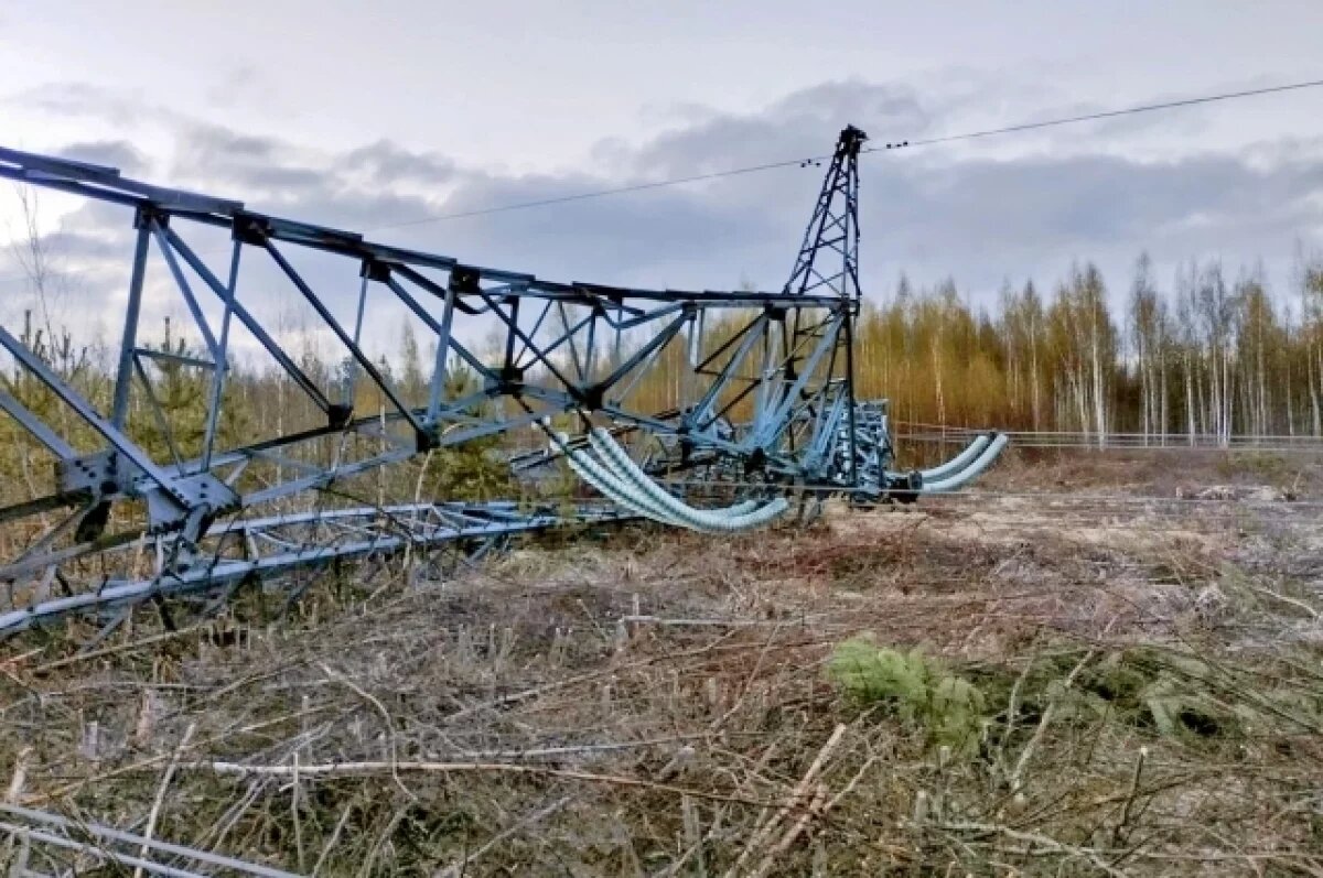    Украинских диверсантов осудили за атаки на Ленинградскую и Калининскую АЭС