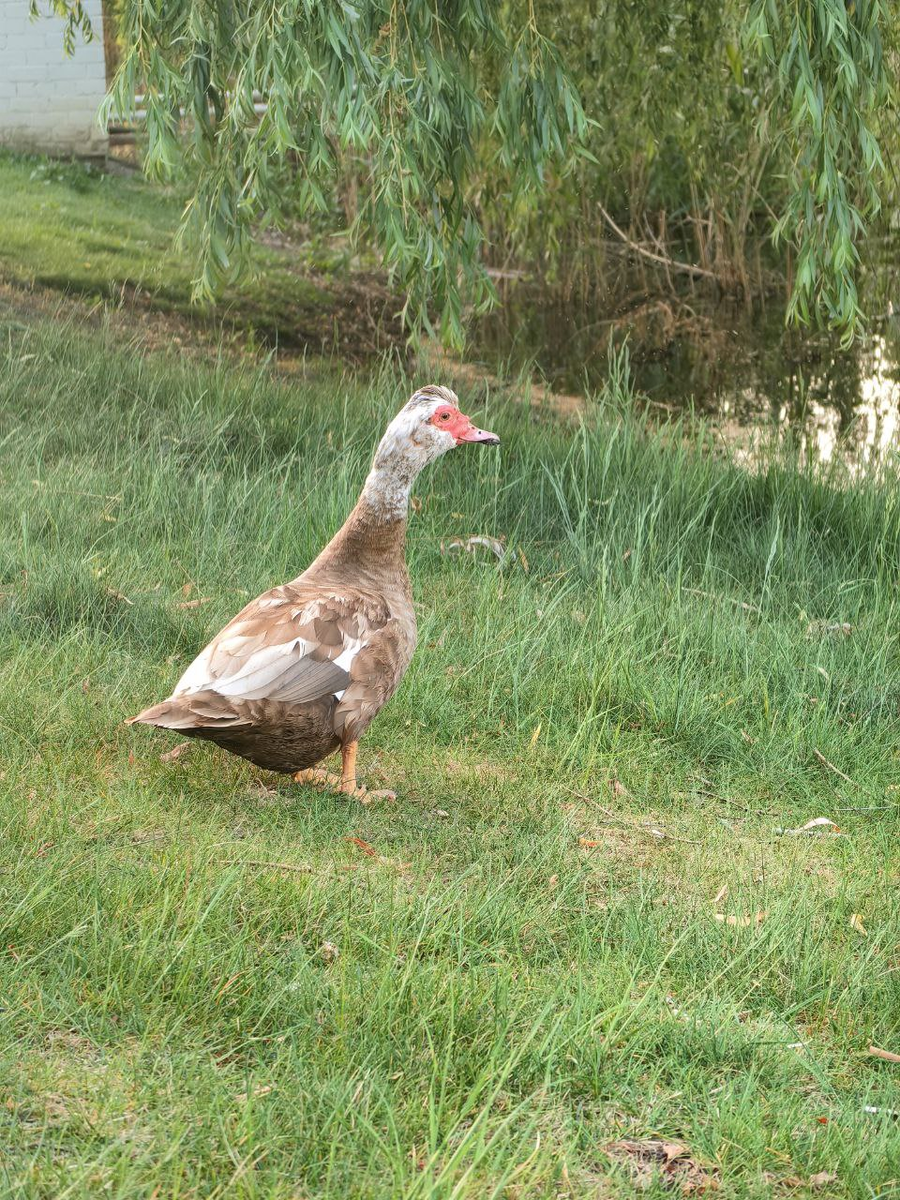 Личный архив