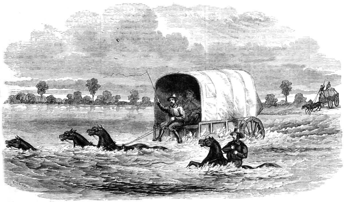 Переплывет или нет