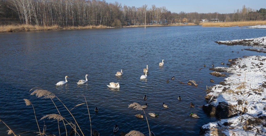    Фото: Росводресурсы