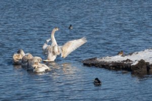    Фото: Росводресурсы