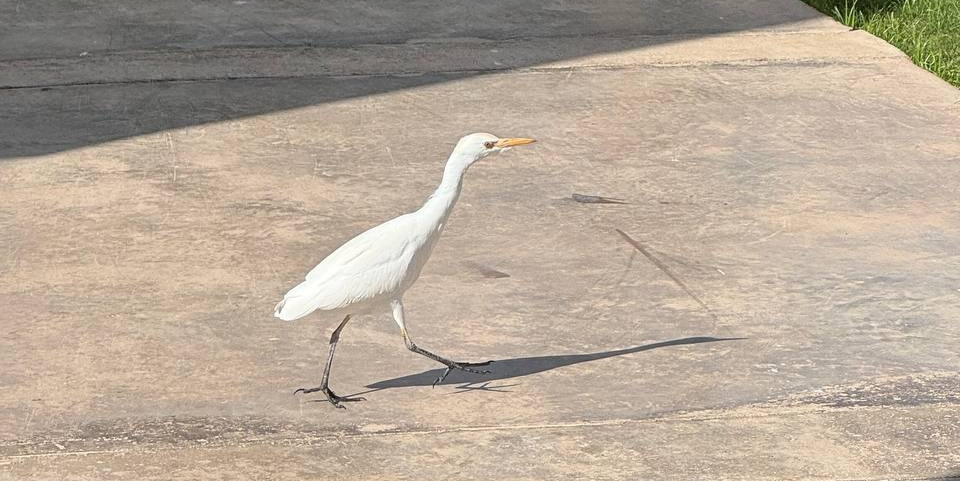 Конечная цель жизненного урока Доверия — научиться доверять в первую очередь себе.