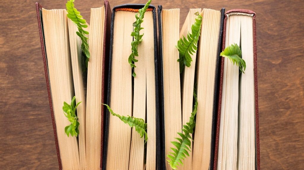     Форзац, нахзац и 7БЦ, или Знаете ли вы книжную терминологию? Тест для истинных книголюбов Елена Исупова