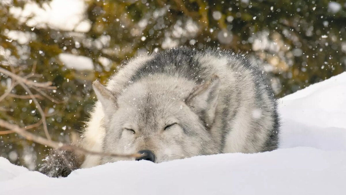     Автор: Unsplash