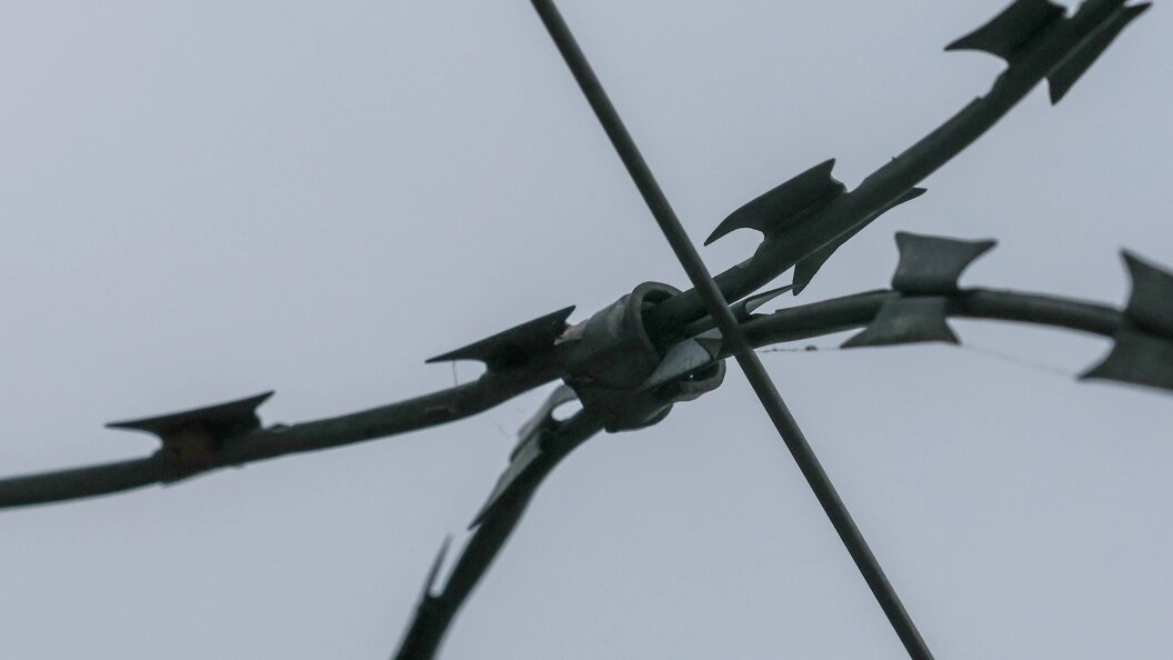    Belkin Alexey/Globallookpress