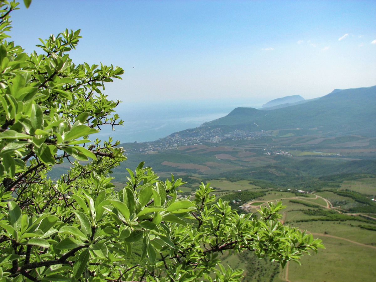 Вид с горы Демерджи // Туристический портал Республики Крым, Ирина Ульева