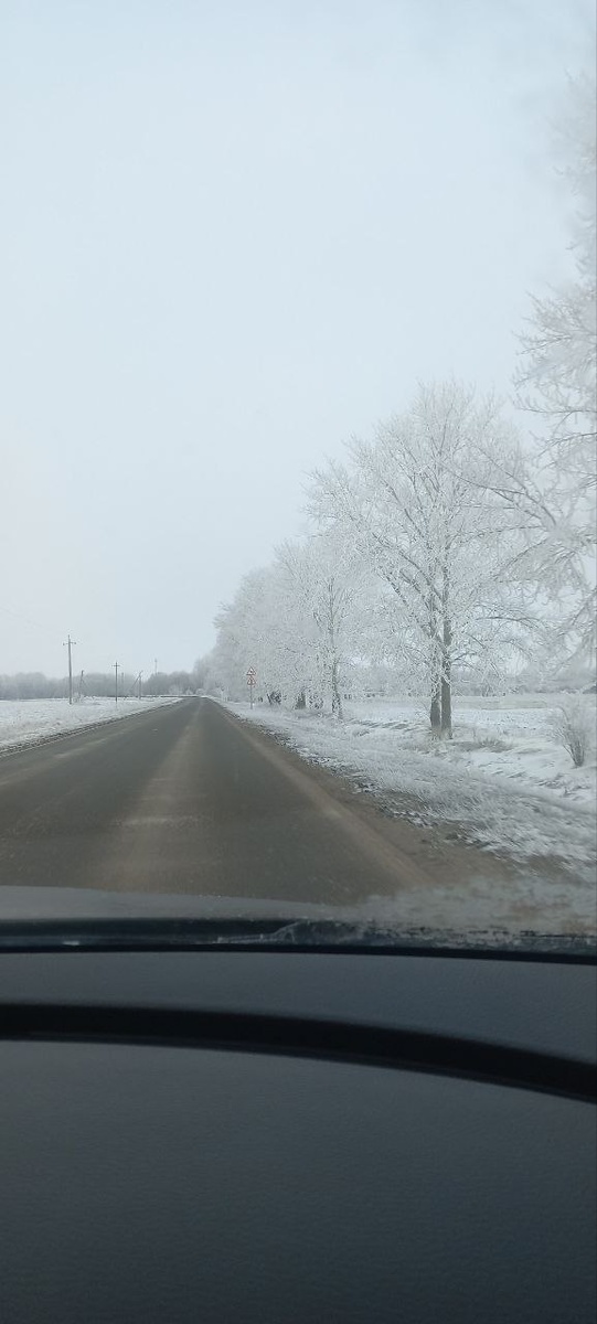 Сегодняшняя красота