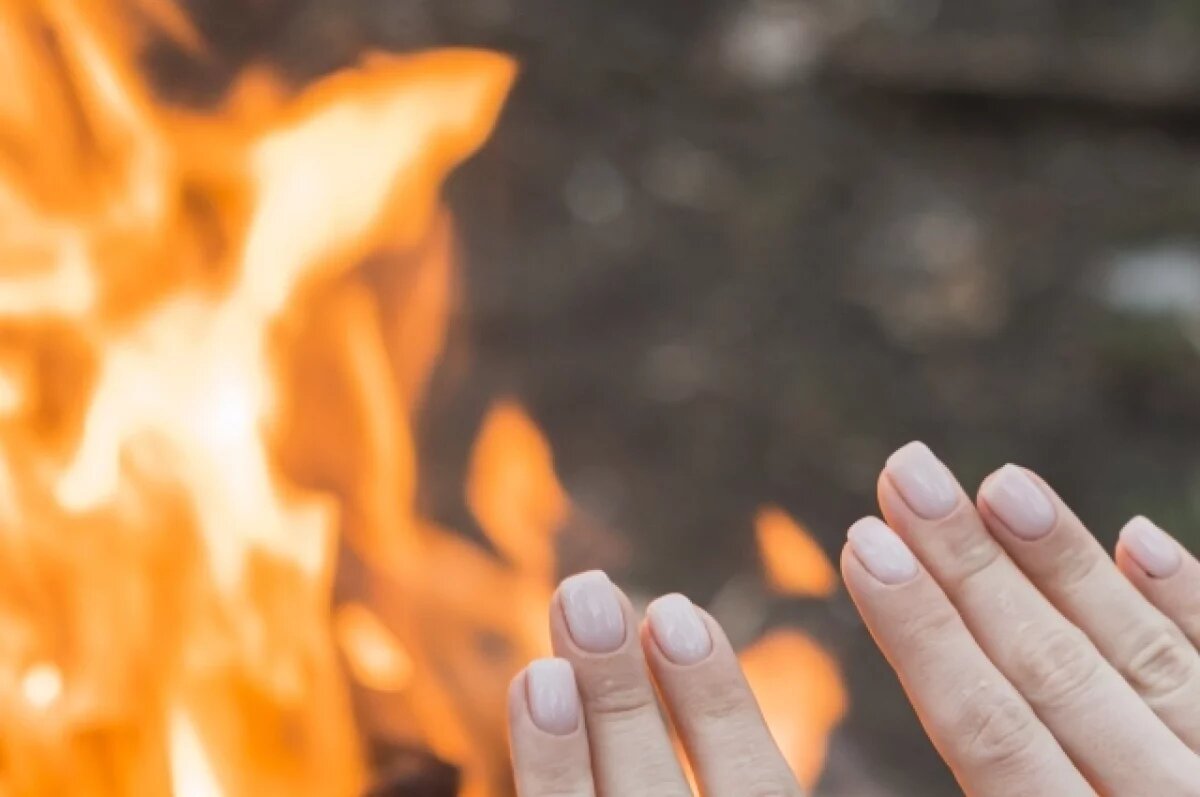    Никитин день.