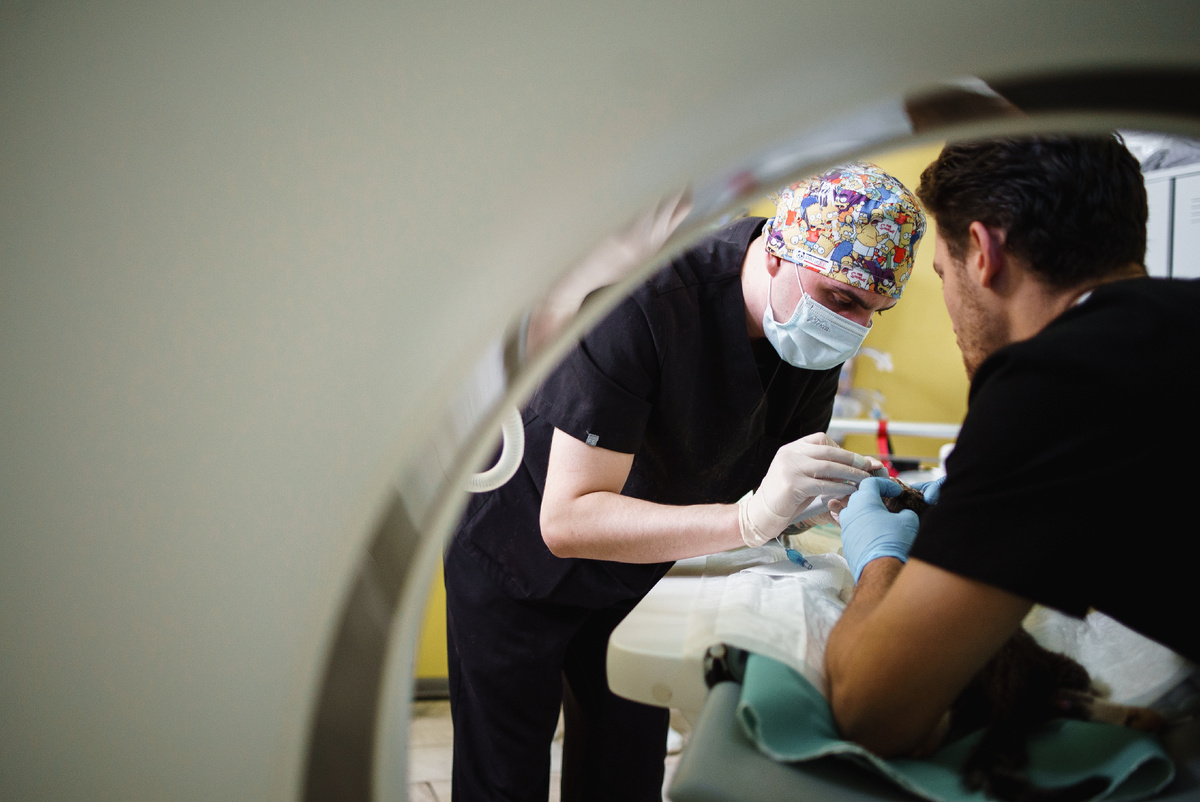 Процесс введение пациента в состояние наркоза